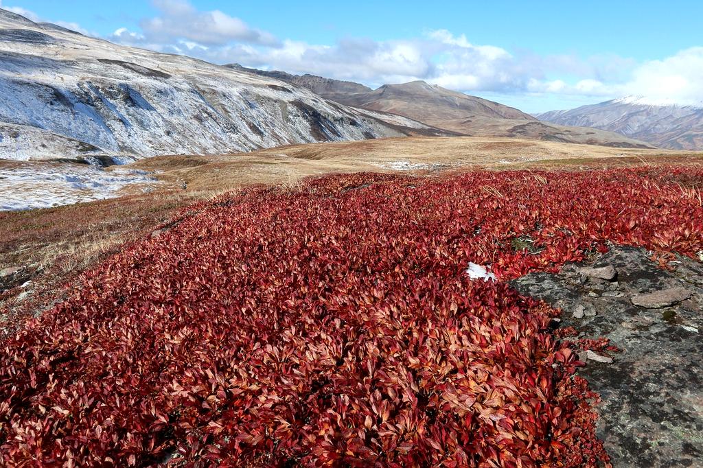Couple hiking through vibrant autumn forest trail