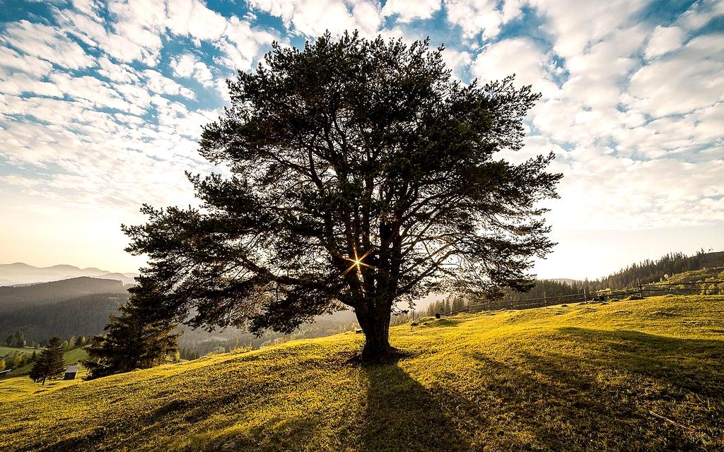 Breakfast spread on a rustic table during morning light at countryside