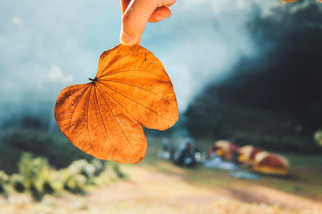Starry night sky over a serene lake with a small campfire