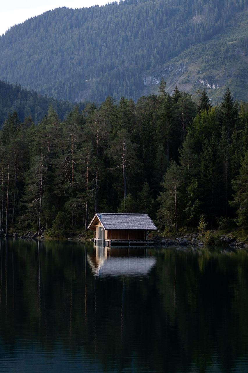 Modern glass cabin nestled in a dense misty forest
