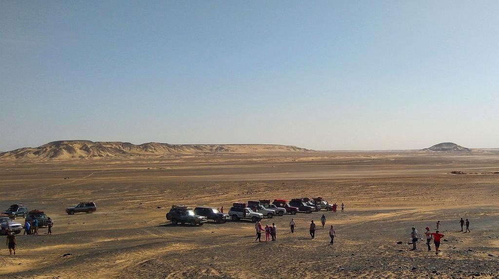 Golden sand dunes under a starry night sky with a minimalist tent