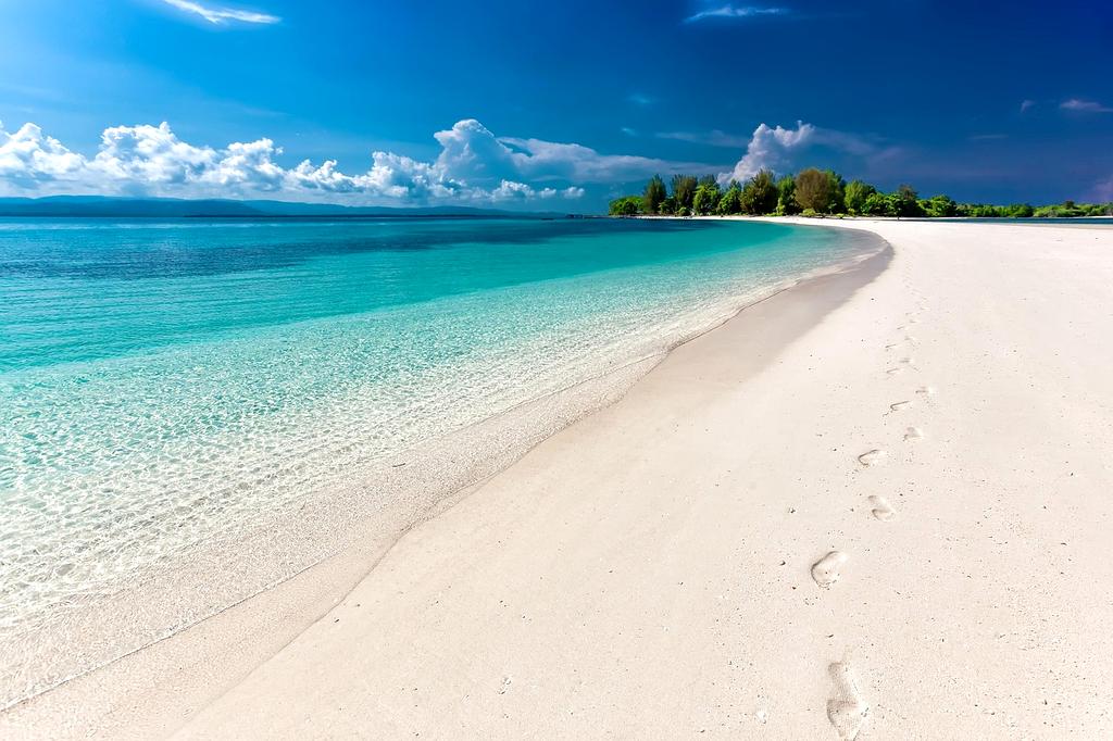 Coastal eco-village with beach huts surrounded by mangroves