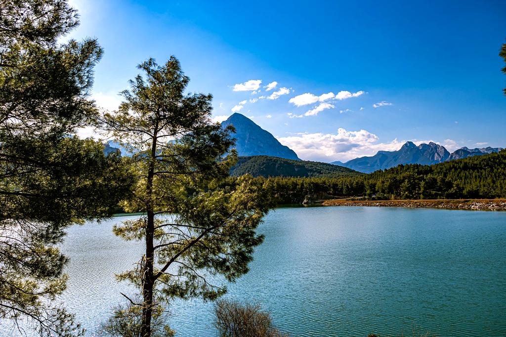 Family enjoying a picnic near a mountain lake