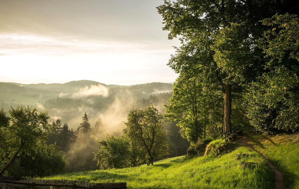 Smiling kids hiking in a sunny forest trail