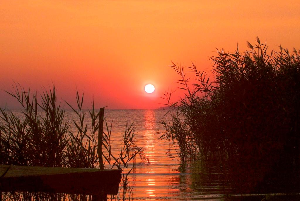 Couple cycling along a lakeside path during spring